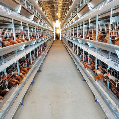 Laying Hen Breeding Automation Equipment Galvanized Cage 4 Tier Poultry Layer Chicken Cage