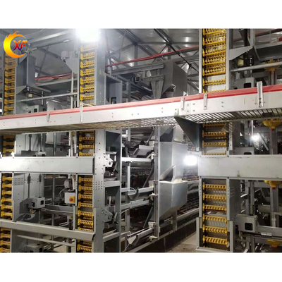 Laying Hen Breeding Automation Equipment Galvanized Cage 4 Tier Poultry Layer Chicken Cage