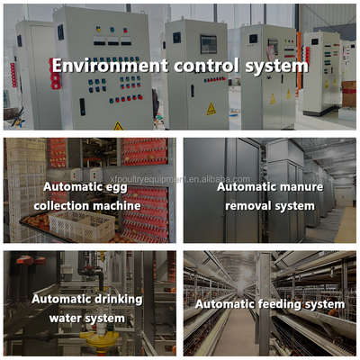 Automatic Dubai Poultry Farm Egg Chicken Cage H Type Layer Cages for 20000 Chickens in Saudi Arabia