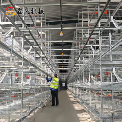 Automatic Dubai Poultry Farm Egg Chicken Cage H Type Layer Cages for 20000 Chickens in Saudi Arabia