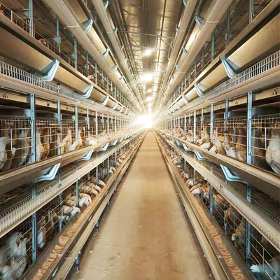 Factory Direct Sale Kenya Poultry Chicken Farm 500 Birds Automatic Egg Chicken Cages H Type 10000 Layer Bird Layer Chicken Cage