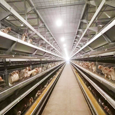 5000 Chickens Industrial Animal Poultry Breeding Equipment Cage Layers