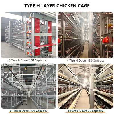 H Type Automatic Layer Egg Chicken Coop Cages System Poultry Battery Cage