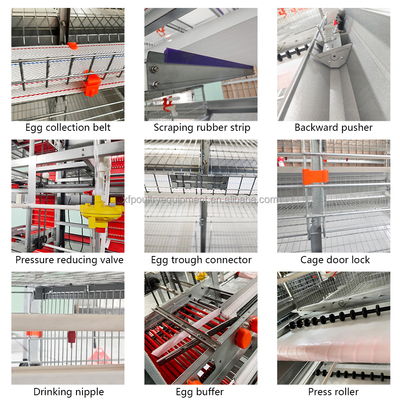 Semi-Automatic Poultry Equipment Chicken Farm Cage Battery Cage System for 10000 Chicken Layers