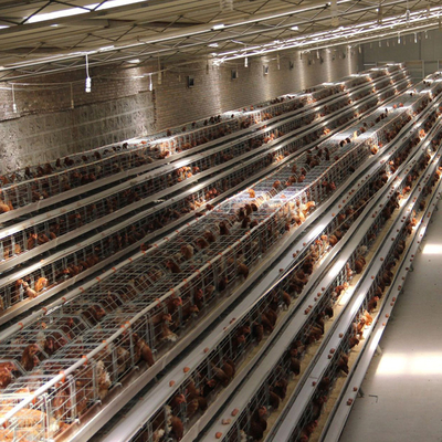 Manufacturer Direct Sale Automatic Poultry Farm a Type 2000 Egg Chicken Layer Battery Cages