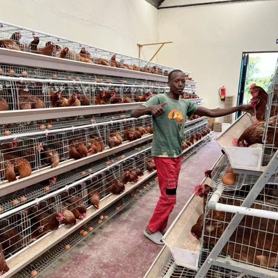 Manufacturer Direct Sale Automatic Poultry Farm a Type 2000 Egg Chicken Layer Battery Cages