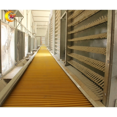 Kenya Poultry Farm House Poultry Cage Battery Cage Layer Chicken Cages with Egg Collection System