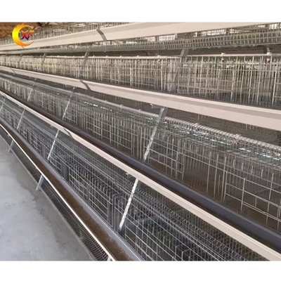 Kenya Poultry Farm House Poultry Cage Battery Cage Layer Chicken Cages with Egg Collection System