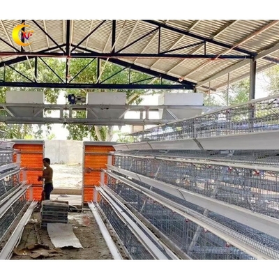 Kenya Poultry Farm House Poultry Cage Battery Cage Layer Chicken Cages with Egg Collection System