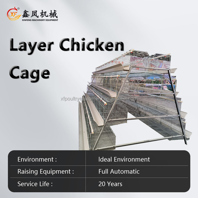 Cheap Price Poultry Farm Equipment Animal Cages Laying Hens Poultry Cages 3 Tiers Mesh Chicken Cage for 10000 Chicken Farm