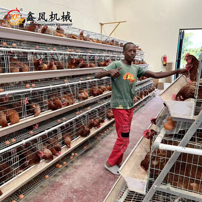 Cheap Price Poultry Farm Equipment Animal Cages Laying Hens Poultry Cages 3 Tiers Mesh Chicken Cage for 10000 Chicken Farm