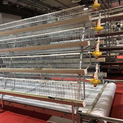 Poultry Farming Equipment Poultry Cage Guangzhou Chicken Cages Egg Layer