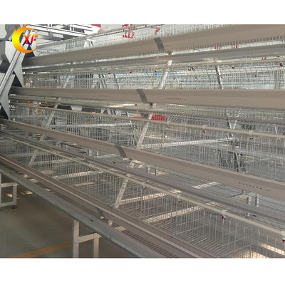 Poultry Farming Equipment Poultry Cage Guangzhou Chicken Cages Egg Layer