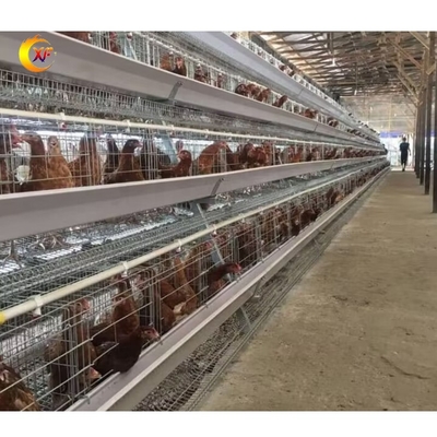 Poultry Farming Equipment Poultry Cage Guangzhou Chicken Cages Egg Layer