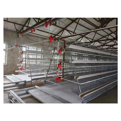 Philippines Galvanized Poltry Layer Chicken Poultry Cages for Layer 500 Birds