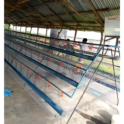 Philippines Galvanized Poltry Layer Chicken Poultry Cages for Layer 500 Birds