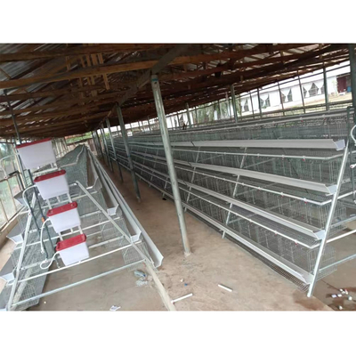 Philippines Galvanized Poltry Layer Chicken Poultry Cages for Layer 500 Birds
