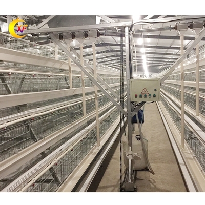 Philippines Galvanized Poltry Layer Chicken Poultry Cages for Layer 500 Birds