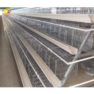 Philippines Galvanized Poltry Layer Chicken Poultry Cages for Layer 500 Birds
