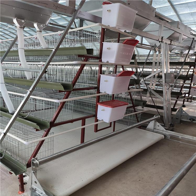 Philippines Galvanized Poltry Layer Chicken Poultry Cages for Layer 500 Birds