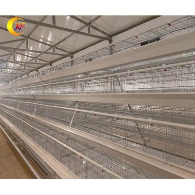 XF Manufacturer a Poultry Chicken Coops for Layer Chickens for 10000 Chicken