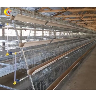 XF Manufacturer a Poultry Chicken Coops for Layer Chickens for 10000 Chicken