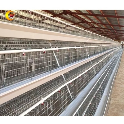 XF Manufacturer a Poultry Chicken Coops for Layer Chickens for 10000 Chicken