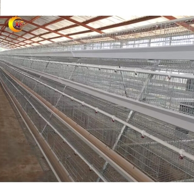 XF Manufacturer a Poultry Chicken Coops for Layer Chickens for 10000 Chicken