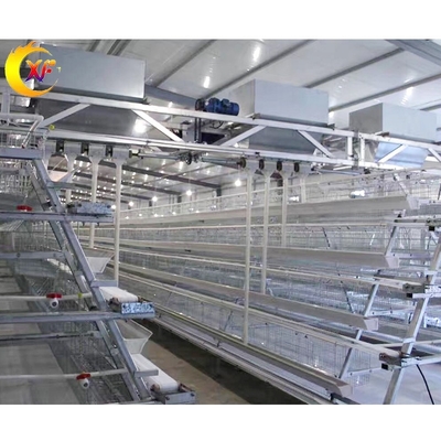 XF Manufacturer a Poultry Chicken Coops for Layer Chickens for 10000 Chicken