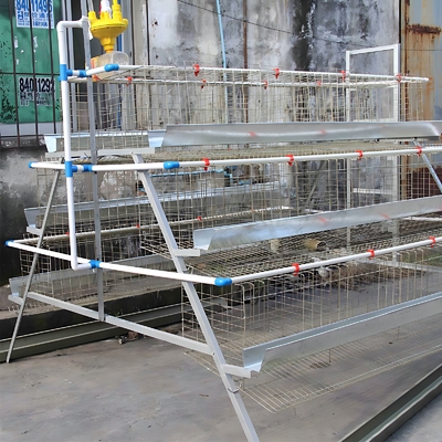 Poultry Farming Equipment a Type 10000 Layer Chickens Cage Chicken Layer Cage for Sale