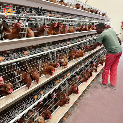 Poultry Farming Equipment a Type 10000 Layer Chickens Cage Chicken Layer Cage for Sale