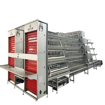 Poultry Farming Equipment a Type 10000 Layer Chickens Cage Chicken Layer Cage for Sale
