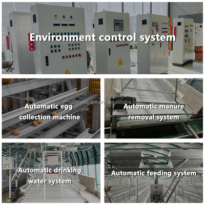 Poultry Farming Equipment a Type 10000 Layer Chickens Cage Chicken Layer Cage for Sale