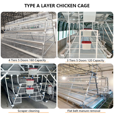 Poultry Farming Equipment a Type 10000 Layer Chickens Cage Chicken Layer Cage for Sale