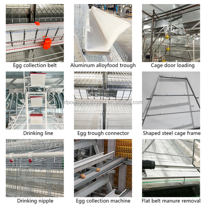 Poultry Farming Equipment a Type 10000 Layer Chickens Cage Chicken Layer Cage for Sale