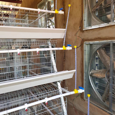 Poultry Equipment Chicken Farming a Type 10000 Layer Chickens Farm Bird Layer Chicken Cage for Sale