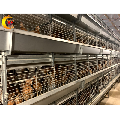 Animal Poultry Husbandry Equipment 5 Tier H Type Day Old Chicken Baby Chick Brooder Cages for Chicks