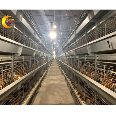 Supplier Direct Sale Pullet Breeding Layer Egg Chicken Cage Brooder Cage for Baby Laying Hen Chicken