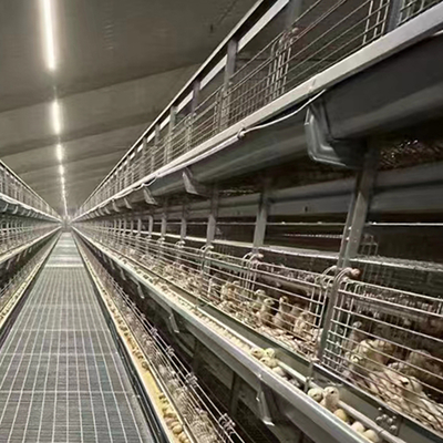 Wholesale Price Poultry Farm Equipment Automatic Poultry Farm Layer Chicken Battery Baby Chick Brooder Cage