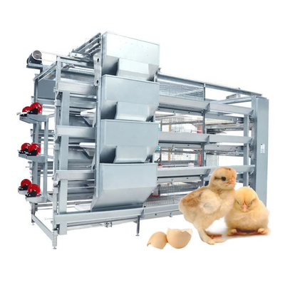 Poultry Farm Chick Brooding Cages Battery Small Egg Chicken Cage Design in Senegal