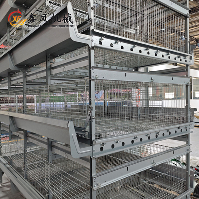 Automatic Battery Day Old Chicks Poultry Equipment Automated Pullet Brooding Cages for Layers