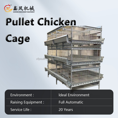 Automatic Battery Day Old Chicks Poultry Equipment Automated Pullet Brooding Cages for Layers
