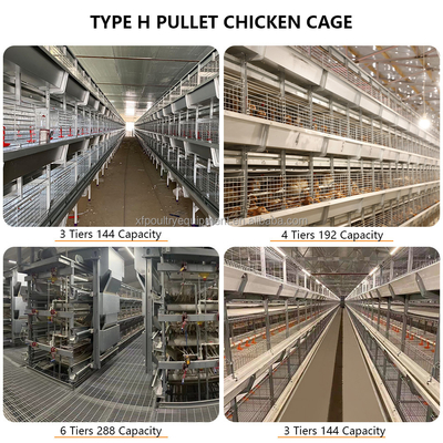 Automatic Battery Day Old Chicks Poultry Equipment Automated Pullet Brooding Cages for Layers
