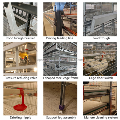 Automatic Battery Day Old Chicks Poultry Equipment Automated Pullet Brooding Cages for Layers