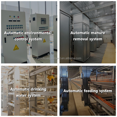 Automatic Battery Day Old Chicks Poultry Equipment Automated Pullet Brooding Cages for Layers