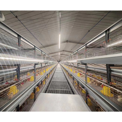 Poultry Farm Automatic Equipment Multi Tiers Pullet Layer Egg Hen Chicken Cage Day Old Baby Chickens Pullet Chicken Cage