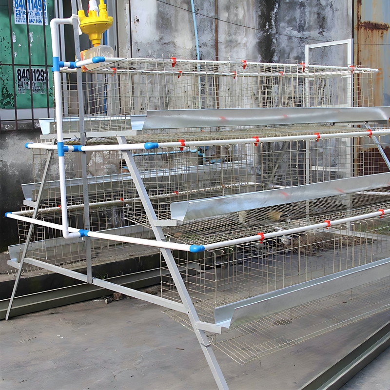 Poultry Farming Equipment a Type 10000 Layer Chickens Cage Chicken Layer Cage for Sale