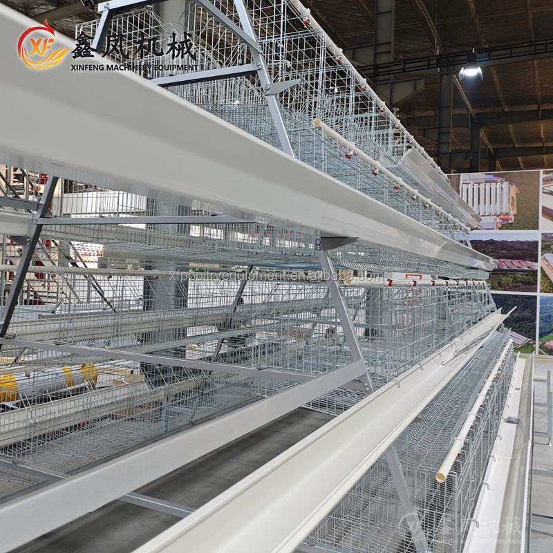 Poultry Equipment Chicken Farming a Type 10000 Layer Chickens Farm Bird Layer Chicken Cage for Sale