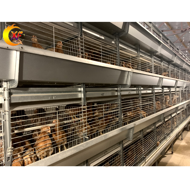 Animal Poultry Husbandry Equipment 5 Tier H Type Day Old Chicken Baby Chick Brooder Cages for Chicks
