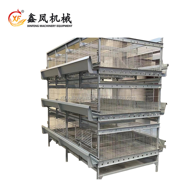 Cameroon Pullet Cage H Type Poultry Chicken Cages for 1 Day Old Chicks